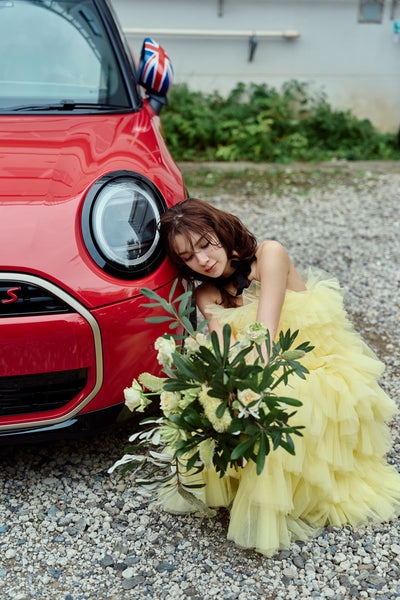 フリル ティアードドレス(W369)