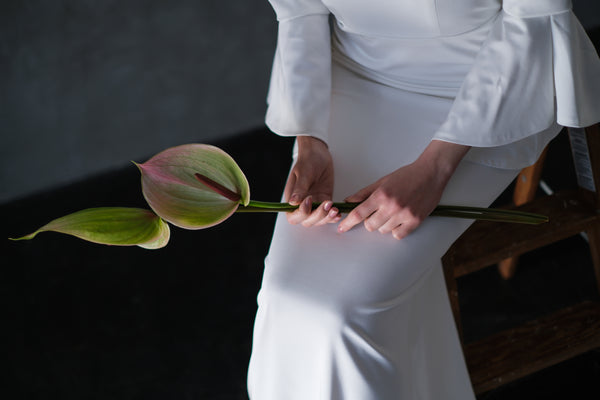 アンブレラスリーブ バックVドレス(W250)