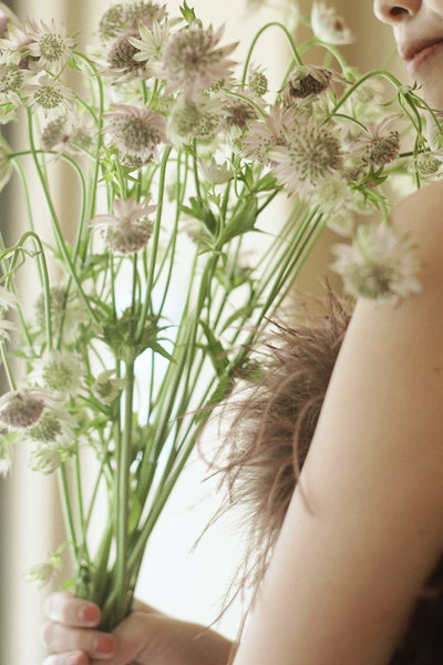 オーストリッチ フェザー チュールドレス(W348BR)